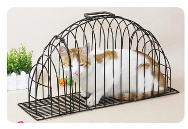 猫洗い用ケージの値段と価格推移は 2件の売買情報を集計した猫洗い用ケージの価格や価値の推移データを公開