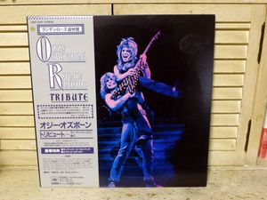 ランディ ローズの平均価格は8 233円 ヤフオク 等のランディ ローズのオークション売買情報は59件が掲載されています