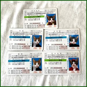 なめ猫 免許証の平均価格は640円 ヤフオク 等のなめ猫 免許証のオークション売買情報は25件が掲載されています