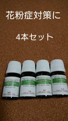 ユーカリブルーガムの値段と価格推移は 5件の売買情報を集計したユーカリブルーガムの価格や価値の推移データを公開