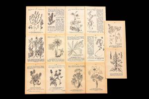 植物図鑑 ドイツの平均価格は4 498円 ヤフオク 等の植物図鑑 ドイツのオークション売買情報は11件が掲載されています