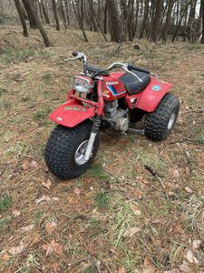 ホンダ バギーの平均価格は28 496円 ヤフオク 等のホンダ バギーのオークション売買情報は30件が掲載されています