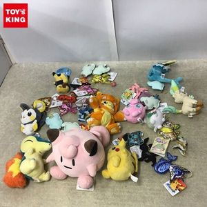 ポケモン ぬいぐるみの平均価格は27 539円 ヤフオク 等のポケモン ぬいぐるみのオークション売買情報は1 271件が掲載されています