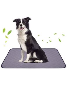 猫 ペット 水の平均価格は1,587円｜ヤフオク!等の猫 ペット 水の 