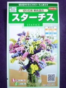 スターチスの平均価格は3円 ヤフオク 等のスターチスのオークション売買情報は24件が掲載されています