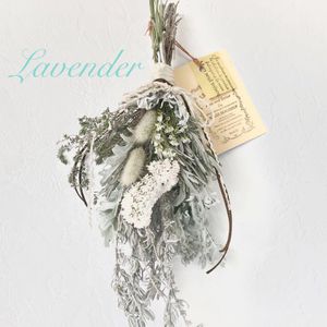 スターチスの平均価格は3円 ヤフオク 等のスターチスのオークション売買情報は24件が掲載されています