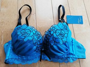 サルート好きの方の値段と価格推移は 3件の売買情報を集計したサルート好きの方の価格や価値の推移データを公開