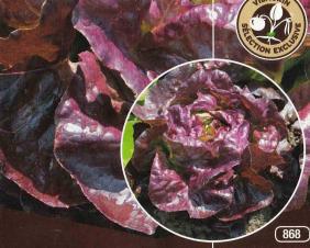 Cholineの値段と価格推移は 2件の売買情報を集計したcholineの価格や価値の推移データを公開