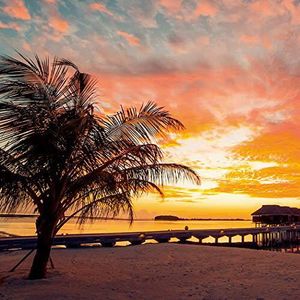 きれいな画像の値段と価格推移は 94件の売買情報を集計したきれいな画像の価格や価値の推移データを公開