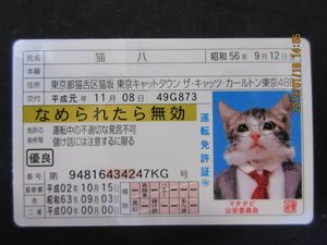なめ猫 猫八の値段と価格推移は 13件の売買情報を集計したなめ猫 猫八の価格や価値の推移データを公開