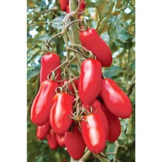 トマト苗の値段と価格推移は 72件の売買情報を集計したトマト苗の価格や価値の推移データを公開