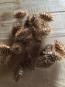 オナモミの値段と価格推移は 46件の売買情報を集計したオナモミの価格や価値の推移データを公開