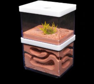 アリの巣 観察の値段と価格推移は 119件の売買情報を集計したアリの巣 観察の価格や価値の推移データを公開