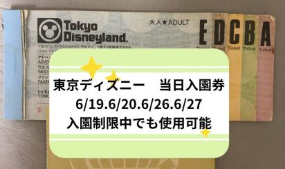 東京ディズニーランド ビッグ10 チケットの値段と価格推移は 15件の売買情報を集計した東京ディズニーランド ビッグ10 チケットの価格や価値の推移データを公開
