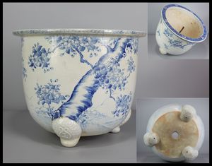 盆栽 桜の値段と価格推移は 381件の売買情報を集計した盆栽 桜の価格や価値の推移データを公開