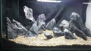 石 水槽の値段と価格推移は 1 716件の売買情報を集計した石 水槽の価格や価値の推移データを公開