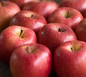 サンふじの値段と価格推移は 54件の売買情報を集計したサンふじの価格や価値の推移データを公開