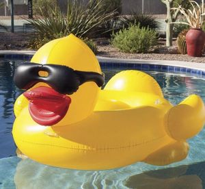 動物 浮き輪の値段と価格推移は 49件の売買情報を集計した動物 浮き輪の価格や価値の推移データを公開