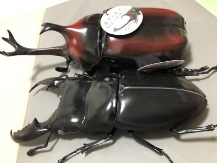 総合ランキング1位獲得 カブトムシ まとめ売り コレクション フィギュア コレクション Ezannspvhpl