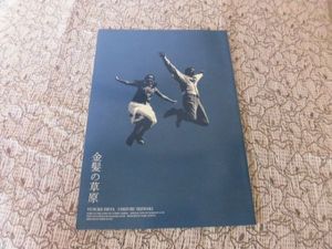 金髪の草原 池脇千鶴の値段と価格推移は 29件の売買情報を集計した金髪の草原 池脇千鶴の価格や価値の推移データを公開