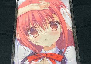 空飛ぶ羊と真夏の花 抱き枕カバーの値段と価格推移は 2件の売買情報を集計した空飛ぶ羊と真夏の花 抱き枕カバーの価格や価値の推移データを公開