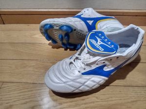 モレリア ウェーブの値段と価格推移は 9件の売買情報を集計したモレリア ウェーブの価格や価値の推移データを公開