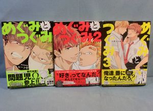 めぐみとつぐみの値段と価格推移は 48件の売買情報を集計しためぐみとつぐみの価格や価値の推移データを公開