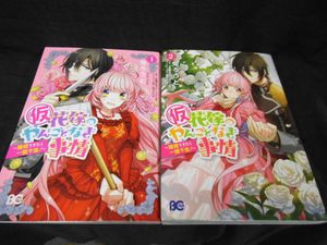 夕鷺かのうの値段と価格推移は 34件の売買情報を集計した夕鷺かのうの価格や価値の推移データを公開