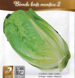 ロメインレタスの値段と価格推移は 28件の売買情報を集計したロメインレタスの価格や価値の推移データを公開