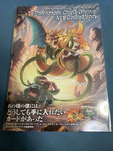 ポケモンカードゲーム アートコレクションの値段と価格推移は 24件の売買情報を集計したポケモンカードゲーム アートコレクション の価格や価値の推移データを公開