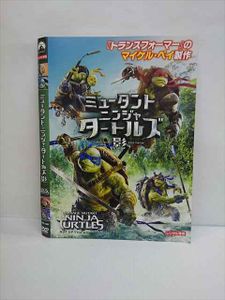 ミュータン ニンジャタートルズ Dvdの値段と価格推移は 5件の売買情報を集計したミュータン ニンジャタートルズ Dvdの価格や価値の推移データを公開