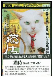 玉之丞江戸へ行くの値段と価格推移は 9件の売買情報を集計した玉之丞江戸へ行くの価格や価値の推移データを公開