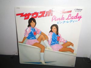 サウスポー ピンクレディー レコードの値段と価格推移は 110件の売買情報を集計したサウスポー ピンクレディー レコードの価格や価値の推移データを公開