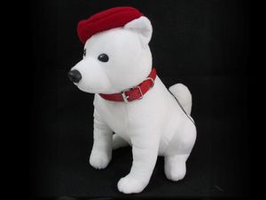 しゃべるお父さん Big ソフトバンクの値段と価格推移は 27件の売買情報を集計したしゃべるお父さん Big ソフトバンク の価格や価値の推移データを公開