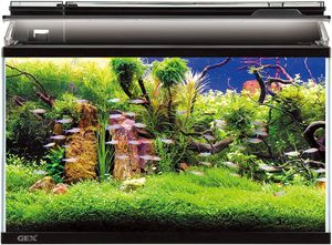 熱帯魚飼育の値段と価格推移は 652件の売買情報を集計した熱帯魚飼育の価格や価値の推移データを公開