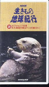 揺りかごの値段と価格推移は 65件の売買情報を集計した揺りかごの価格や価値の推移データを公開