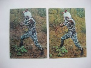 ノーマルタイプの値段と価格推移は 10 793件の売買情報を集計したノーマルタイプの価格や価値の推移データを公開