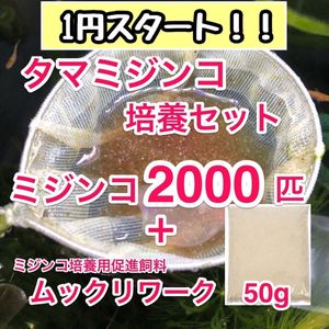 生餌の値段と価格推移は 1 069件の売買情報を集計した生餌の価格や価値の推移データを公開