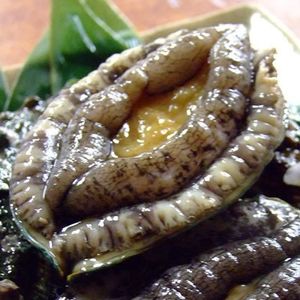 アワビ 殻の値段と価格推移は 75件の売買情報を集計したアワビ 殻の価格や価値の推移データを公開