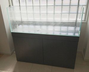 水槽 Adaの値段と価格推移は 1 169件の売買情報を集計した水槽 Adaの価格や価値の推移データを公開