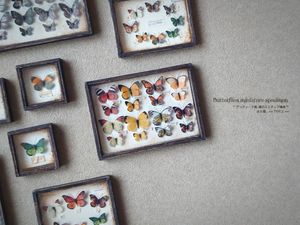 蝶 標本 アンティークの値段と価格推移は 37件の売買情報を集計した蝶 標本 アンティークの価格や価値の推移データを公開