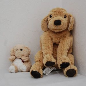 Ikeaイケア 犬の値段と価格推移は 12件の売買情報を集計したikeaイケア 犬の価格や価値の推移データを公開