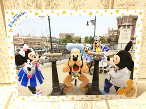 ディズニー スペシャルフォトの値段と価格推移は 412件の売買情報を集計したディズニー スペシャルフォトの価格や価値の推移データを公開