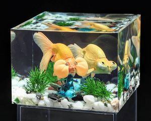 水中ジオラマの値段と価格推移は 9件の売買情報を集計した水中ジオラマの価格や価値の推移データを公開