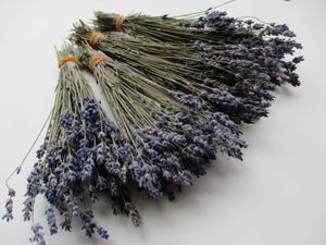 ラベンダー ドライフラワーの値段と価格推移は 117件の売買情報を集計したラベンダー ドライフラワーの価格や価値の推移データを公開