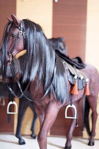 アニマルドールの値段と価格推移は 148件の売買情報を集計したアニマルドールの価格や価値の推移データを公開