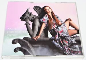 Naked Fight Together Tempest 安室奈美恵の値段と価格推移は 11件の売買情報を集計したnaked Fight Together Tempest 安室奈美恵の価格や価値の推移データを公開