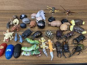 いきもの大図鑑の値段と価格推移は 1 145件の売買情報を集計したいきもの大図鑑の価格や価値の推移データを公開