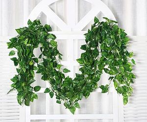 緑のカーテンの値段と価格推移は 487件の売買情報を集計した緑のカーテンの価格や価値の推移データを公開