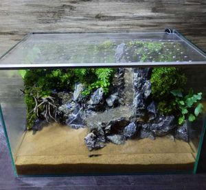 新品特価 コケリウム パルダリウム完成品 グラステラリウム 3030 C Rgb 付き 28 Off送料無料 その他 Rspg Spectrum Eu